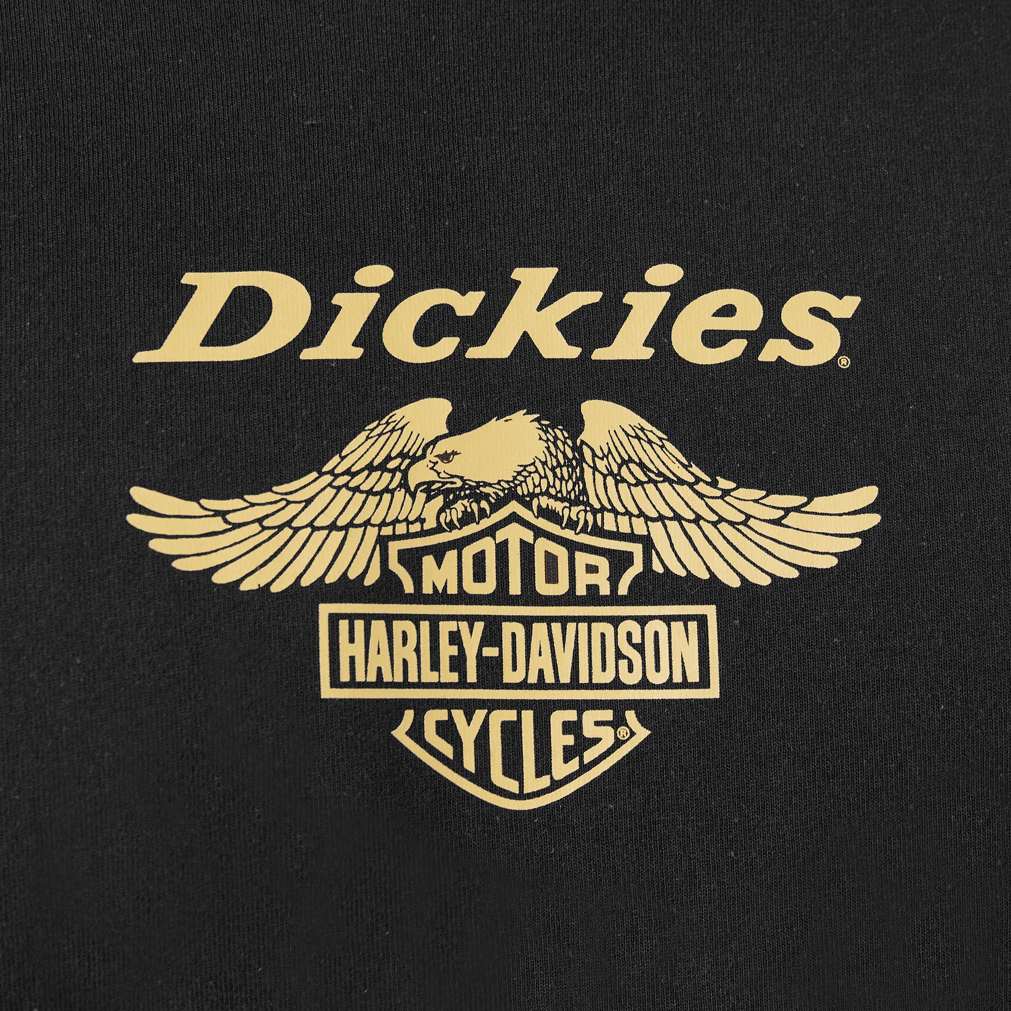 Dickies x Harley-Davidson Heavyweight Long Sleeve Eagle Tee - Image 6